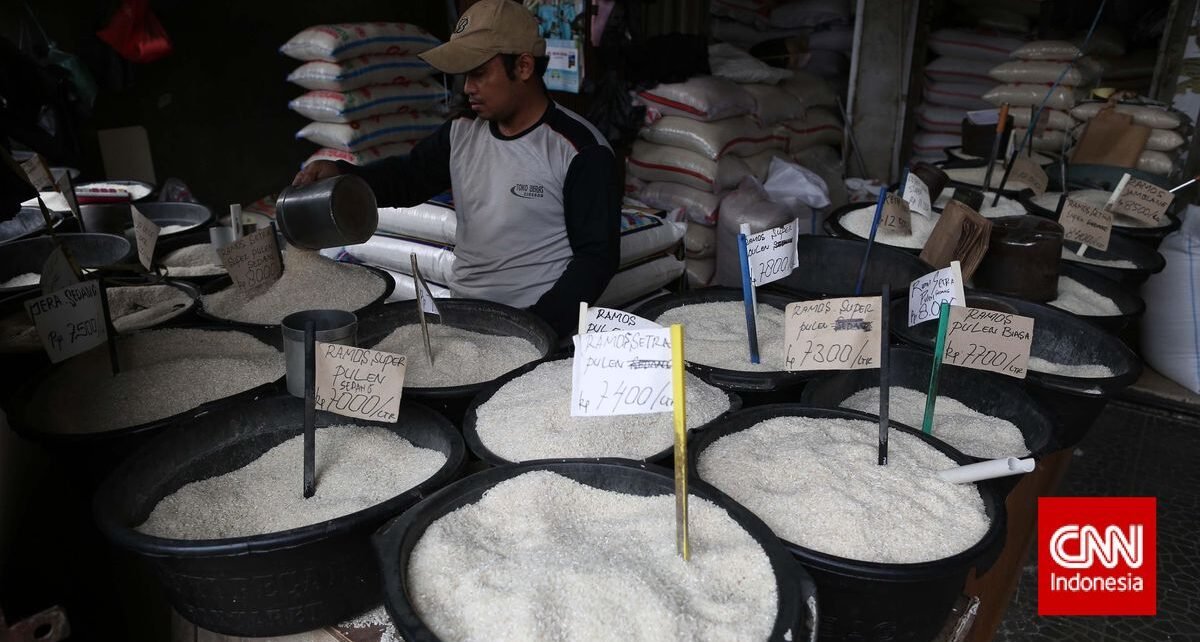 Bapanas Resmi Naikkan HET Beras Medium untuk Atur Distribusi & Pasokan