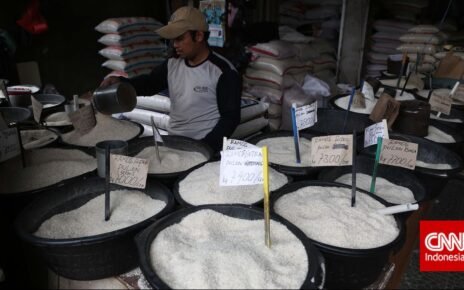 Bapanas Resmi Naikkan HET Beras Medium untuk Atur Distribusi & Pasokan