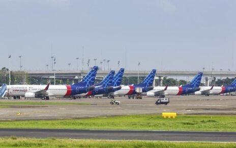 Boeing Proyeksi RI Butuh 600 Pesawat Baru hingga 2045
