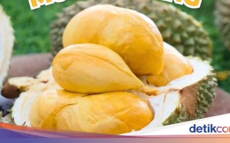 10 Tempat Jajan Durian Premium, Lengkap dengan Dessertnya!