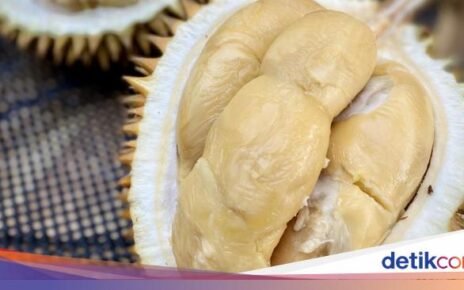 Tempat Jajan Durian Premium hingga Makanan Pemicu Tikus Datang ke Dapur