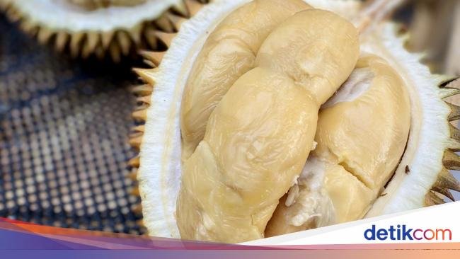 Tempat Jajan Durian Premium hingga Makanan Pemicu Tikus Datang ke Dapur