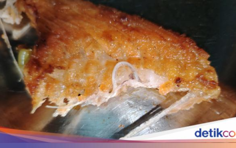 Ngeri! Beli Ikan Salmon di Supermarket Ada Cacing Parasit 6,5 Cm