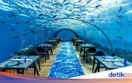 Makan di Bawah Laut? 10 Restoran Ini Tawarkan Pemandangan Mempesona