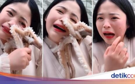 Makan Seafood Hidup, 4 Orang Ini Digigit Gurita hingga Udang!
