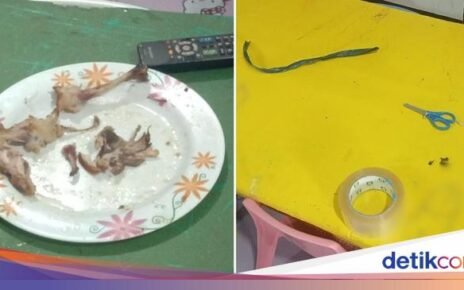 Bobol Tempat Penitipan Anak, Pencuri Ini Hanya Melahap Habis Ayam Goreng