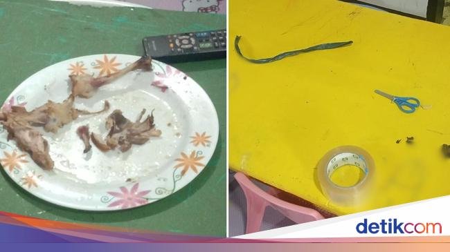 Bobol Tempat Penitipan Anak, Pencuri Ini Hanya Melahap Habis Ayam Goreng