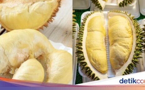 Jangan Keliru! Kenali Perbedaan Durian Medan Vs Durian Montong