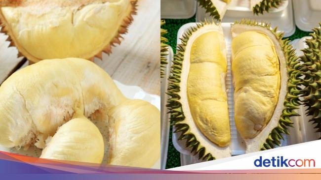 Jangan Keliru! Kenali Perbedaan Durian Medan Vs Durian Montong