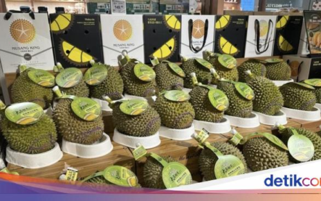 Durian Segar Malaysia Diekspor ke China, Ada Musang King dan Black Thorn!