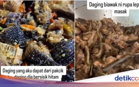 Wanita Ini Duga Diberi Kari Daging Biawak oleh Orang Asing