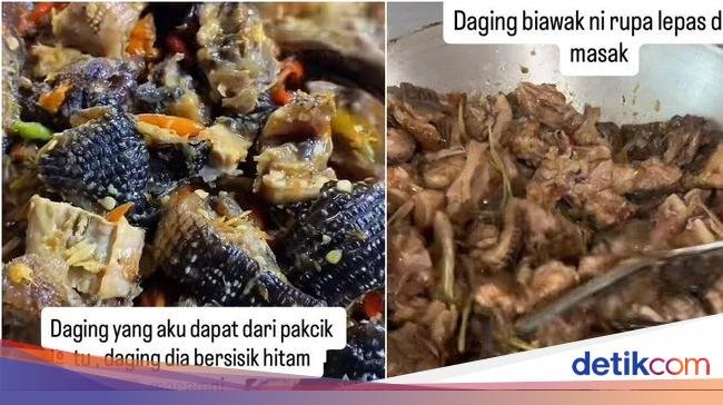 Wanita Ini Duga Diberi Kari Daging Biawak oleh Orang Asing