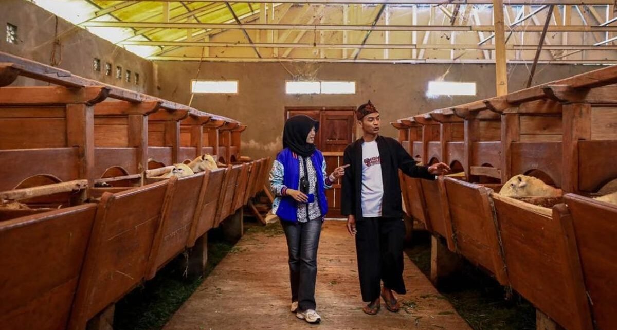 Setengah Juta Pengusaha UMKM Naik Kelas Berkat Penyaluran KUR BRI