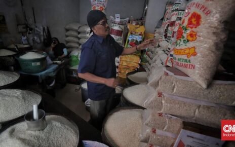 Harga Beras di Penggilingan dan Eceran Kompak Naik pada Agustus