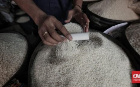 Harga Beras di 214 Kabupaten/ Kota Masih Naik per Agustus 2026