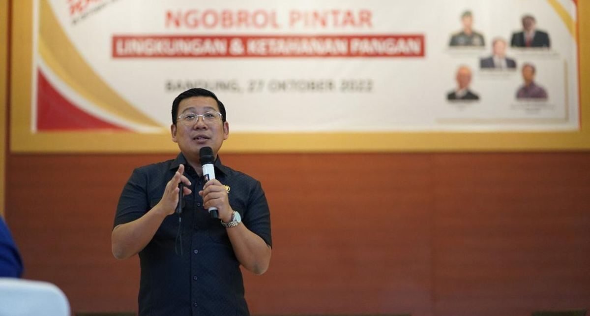 Bantuan Pangan Beras Berpotensi Disetop 2026, Ini Alasannya