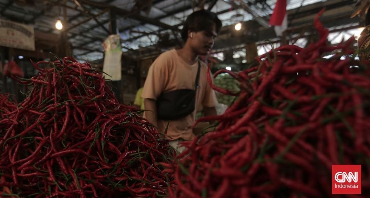 Harga Cabai Merah Tembus Rp90 Ribu per Kg di Sumut
