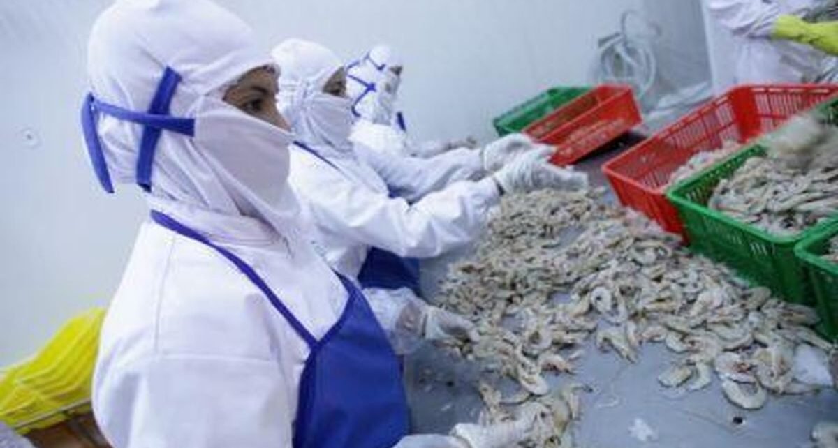 Kasus Udang RI Tercemar Radioaktif Hanya Terjadi di 1 Pengiriman