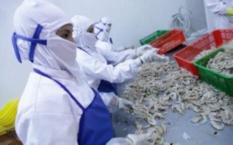 Kasus Udang RI Tercemar Radioaktif Hanya Terjadi di 1 Pengiriman