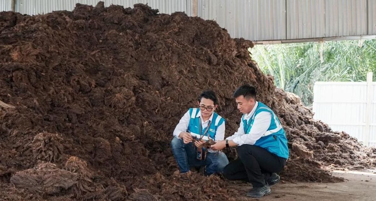 PLN EPI Genjot Ekosistem Biomassa, Demi Target 3 Juta Ton di 2025