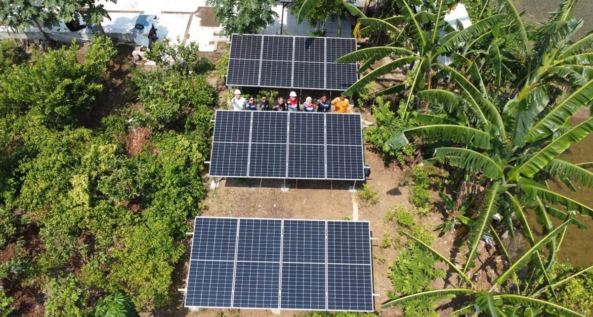 PLTS di Desa Energi Berdikari di Karawang Tingkatkan Ekonomi Petani