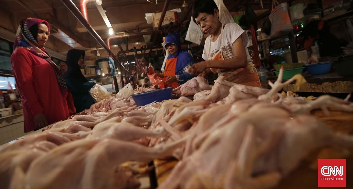 Harga Daging Ayam Mahal, Warga Cilacap Pilih Beli Kepala dan Ceker