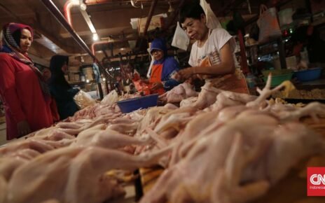 Harga Daging Ayam Mahal, Warga Cilacap Pilih Beli Kepala dan Ceker