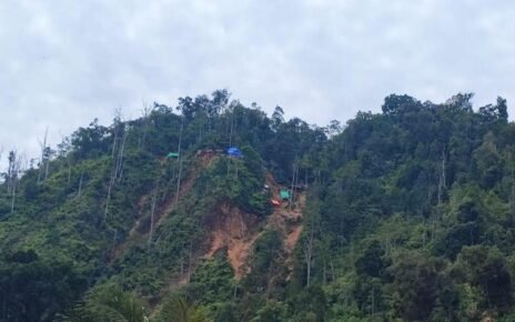 321 Hektare Tambang Ilegal Berhasil Kembali ke Negara