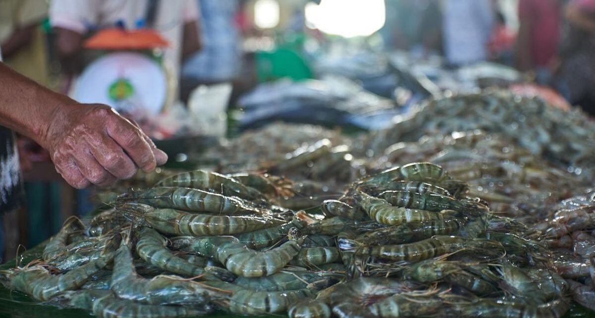 Anak Buah Zulhas Pastikan 18 Kontainer Udang Tak Terkontaminasi Cs-137