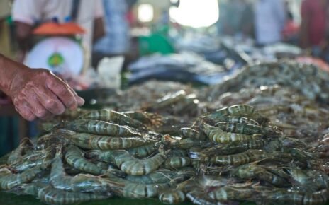 Anak Buah Zulhas Pastikan 18 Kontainer Udang Tak Terkontaminasi Cs-137