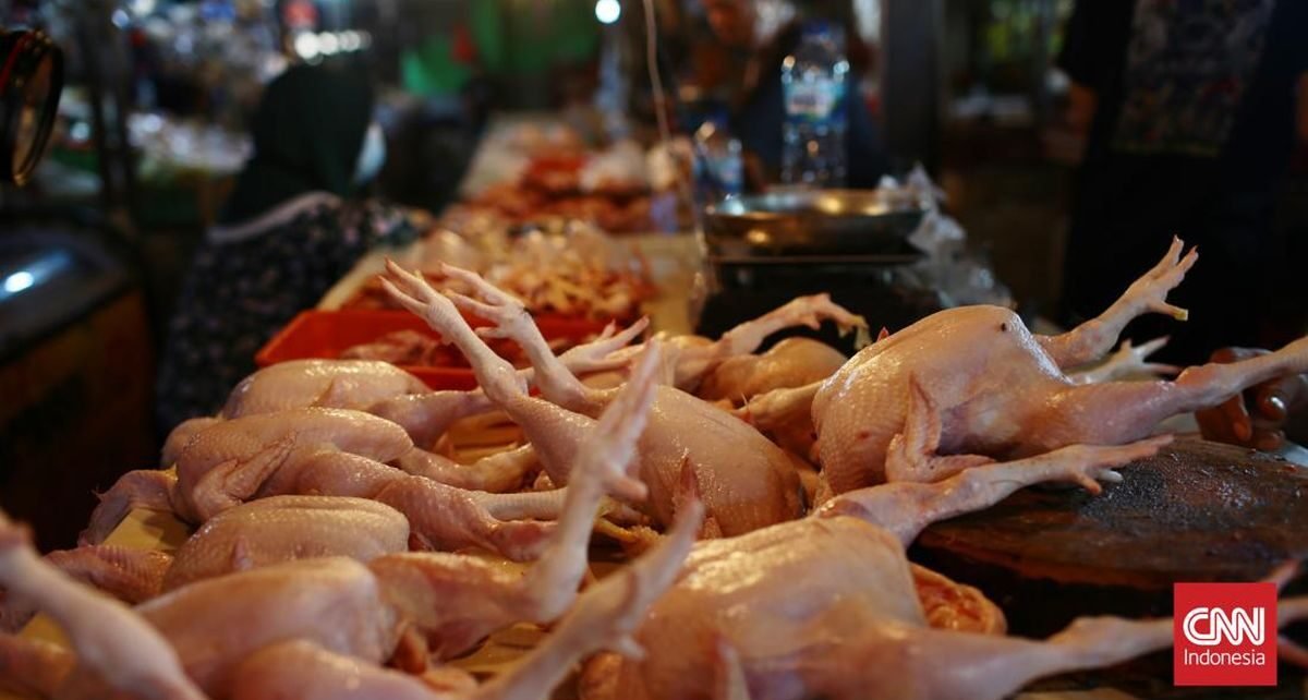 Pedagang Ayam di Tangerang Mengeluh Sepi Pembeli karena Harga Tinggi