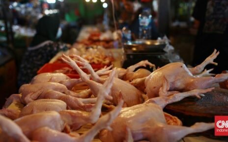 Pedagang Ayam di Tangerang Mengeluh Sepi Pembeli karena Harga Tinggi