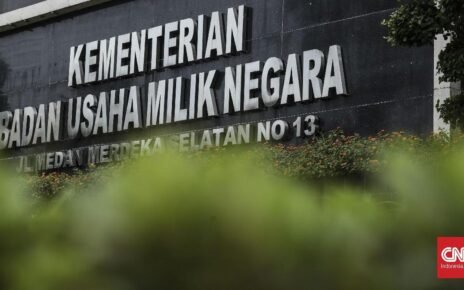 Pedang Bermata Dua Dibalik Ganti Status Kementerian Jadi BP BUMN