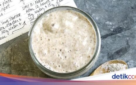 Unik! Ada Hotel Khusus Penitipan Ragi Sourdough