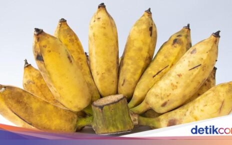 Pisang, Buah Sejuta Umat yang Ternyata Kuliner Nasional Asli Indonesia
