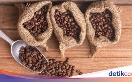 Jangan Ngaku Penggemar Kopi Kalau Belum Tahu 4 Jenis Biji Kopi Ini