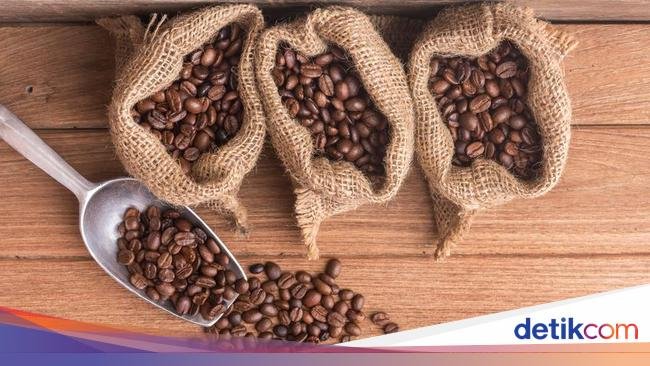 Jangan Ngaku Penggemar Kopi Kalau Belum Tahu 4 Jenis Biji Kopi Ini