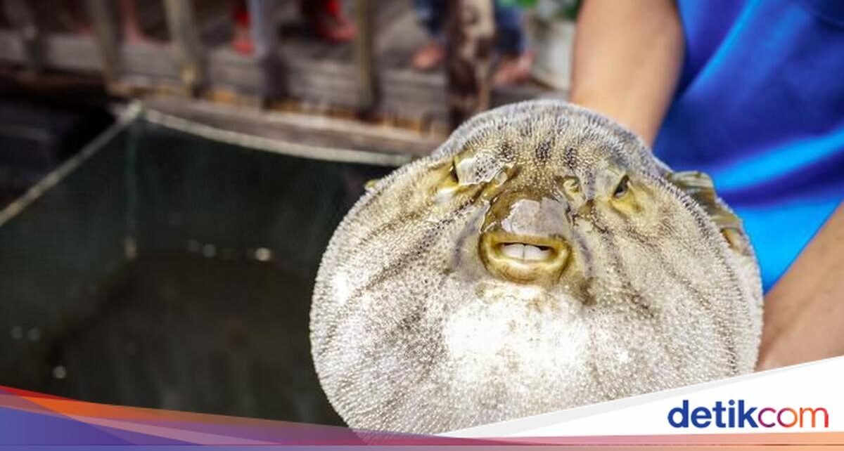 5 Makanan Kontroversial di Berbagai Negara, Tak Semua Bebas Disantap!