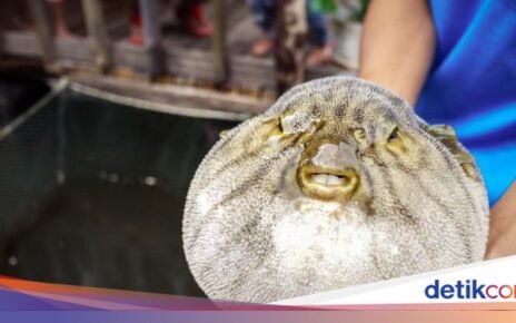 5 Makanan Kontroversial di Berbagai Negara, Tak Semua Bebas Disantap!