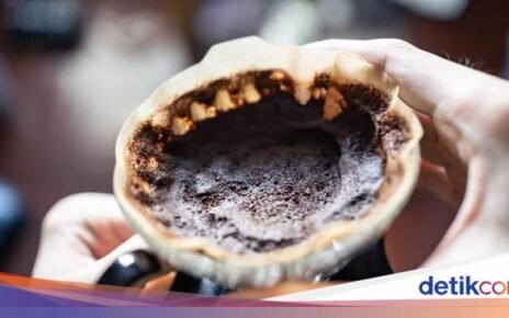 Manfaat Kopi Selain Diminum, Bisa Usir Nyamuk hingga Jadi Pupuk