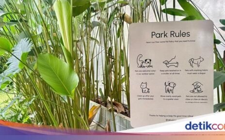 Kafe Pet Friendly di Bogor Ini Punya Es Krim Wasabi dan Pancake Miso
