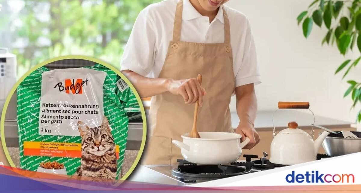 Hidup Hemat di Swiss, Mahasiswa PhD Ini Makan Makanan Kucing!