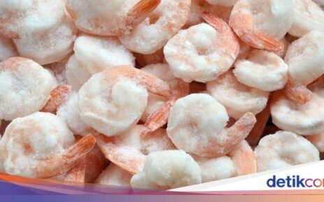 Apakah Udang Beku Menyehatkan? Ini Nutrisi dan Cara Menyimpannya