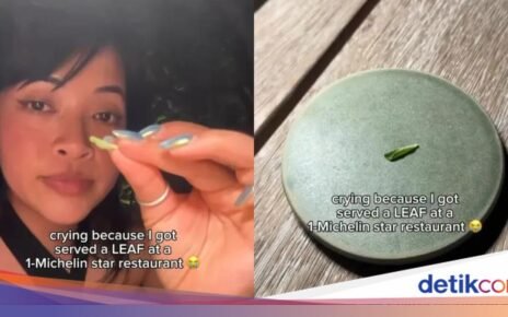 Cuma Dapat Daun di Restoran Bintang Michelin, Vlogger Ini Kaget
