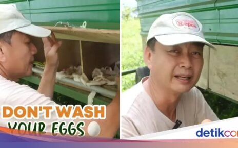 Jangan Langsung Dicuci, Ini Cara Simpan Telur agar Awet dari Peternak