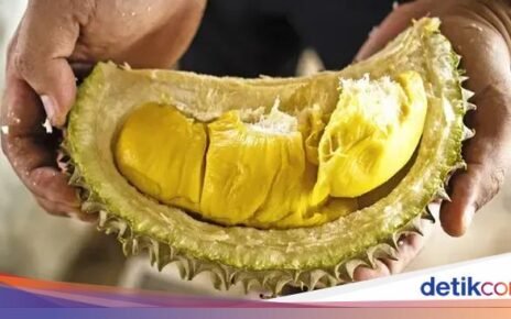 Duh! Pembeli Durian Dihina Miskin oleh Penjual Gegara Hal Ini