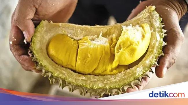 Duh! Pembeli Durian Dihina Miskin oleh Penjual Gegara Hal Ini