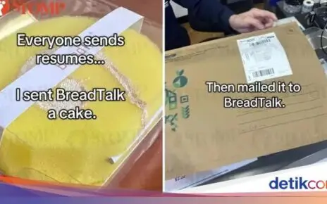 Kreatif! Wanita Ini Kirim CV dalam Bentuk Sponge Cake