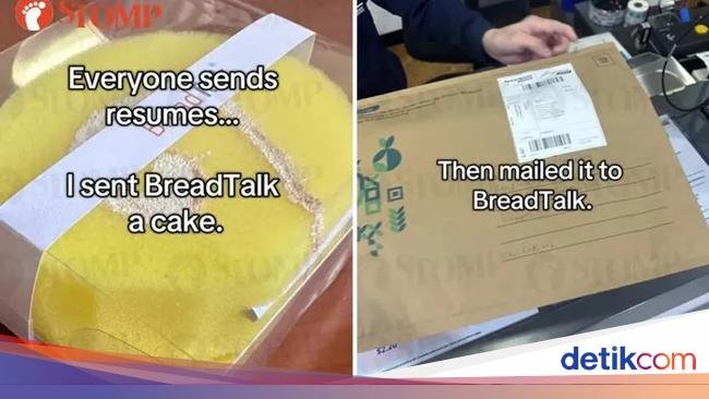 Kreatif! Wanita Ini Kirim CV dalam Bentuk Sponge Cake