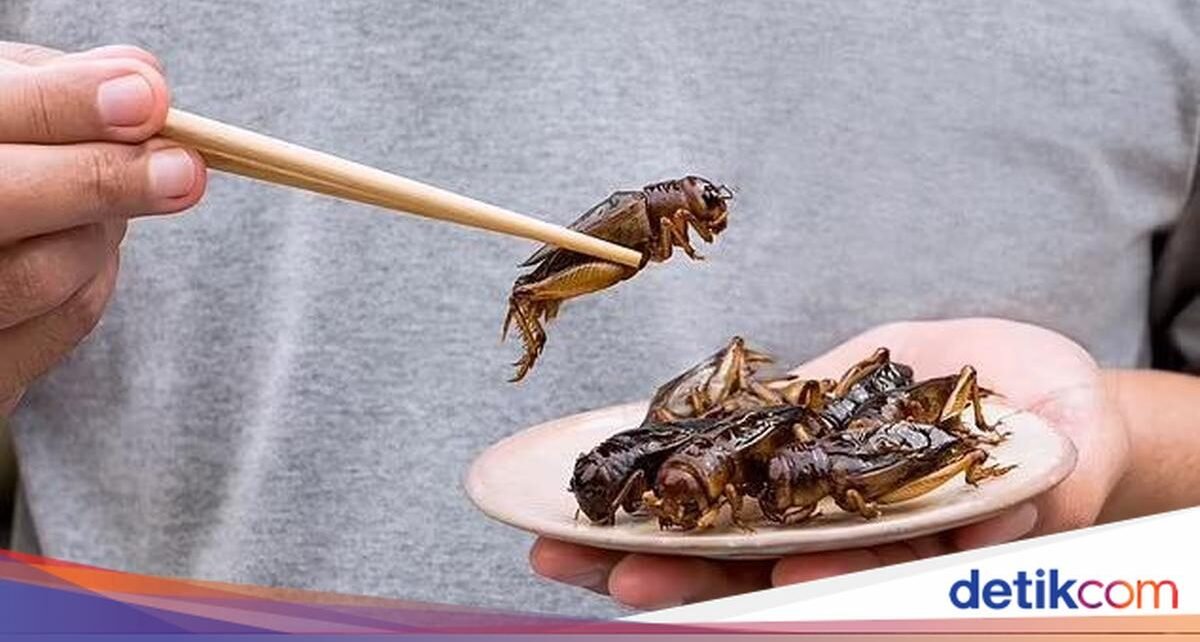Berani Coba? 5 Hewan Beracun Ini Ternyata Juga Dimakan